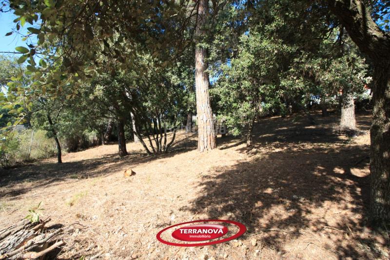 Foto 8a3b710e-a3e0-4ed7-81de-02b63c45bd2a. Terreny residencial a Ametlla del Vallès (L´)