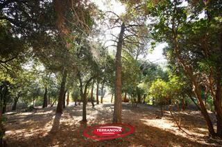 Terreno residenziale in Ametlla del Vallès (L´)