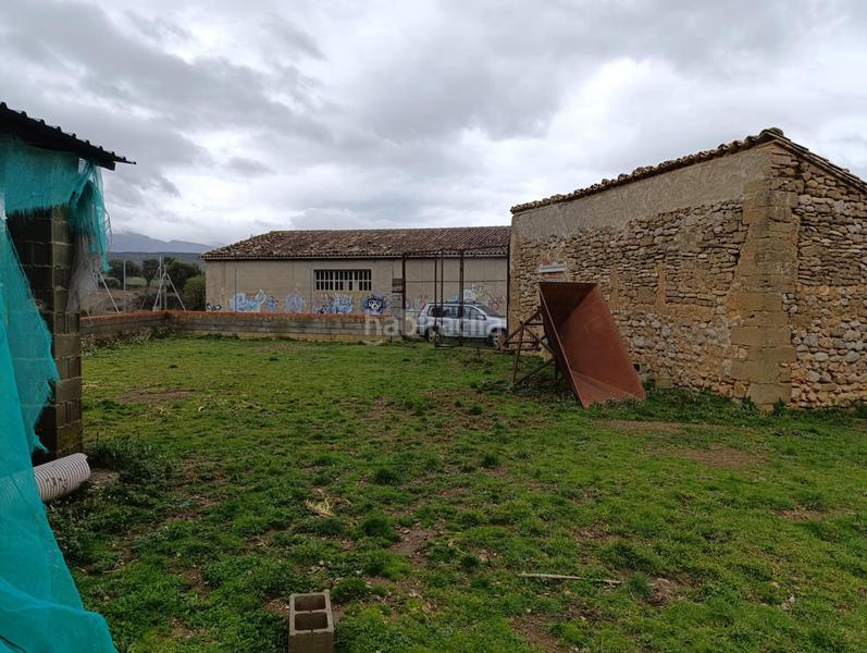 Foto 779a8b9a-97fd-4d0e-ba74-c8062d9933f5. Wohngrundstück in Sotonera (La)