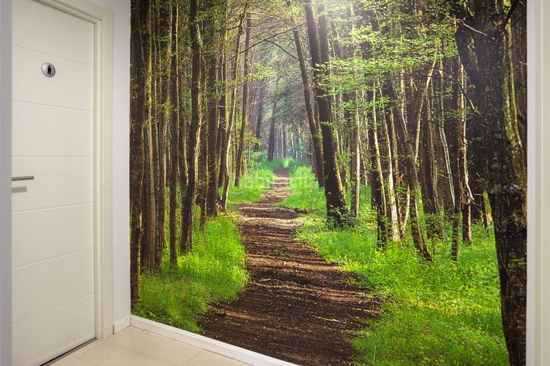 Foto 3a3bfad6-5396-41b5-ae4c-12ceba4626b5. Bureau dans calle coso 55 dans Alfonso Zaragoza