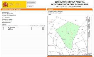 Finca rústica a Yésero 2