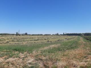 Landgut in San Gregorio. Finca rústica
