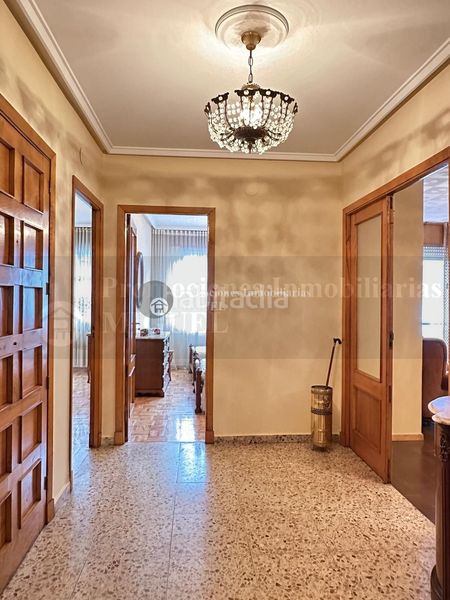 Foto db1bc715-0d13-41d6-b142-4c01aa23b90b. Pis a Verín