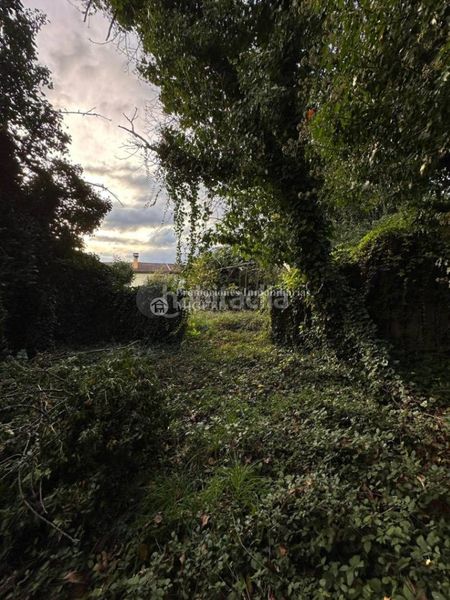 Foto 10bb9b76-16c5-48ee-a472-4bd8029775f9. Xalet a Castrelo do Val