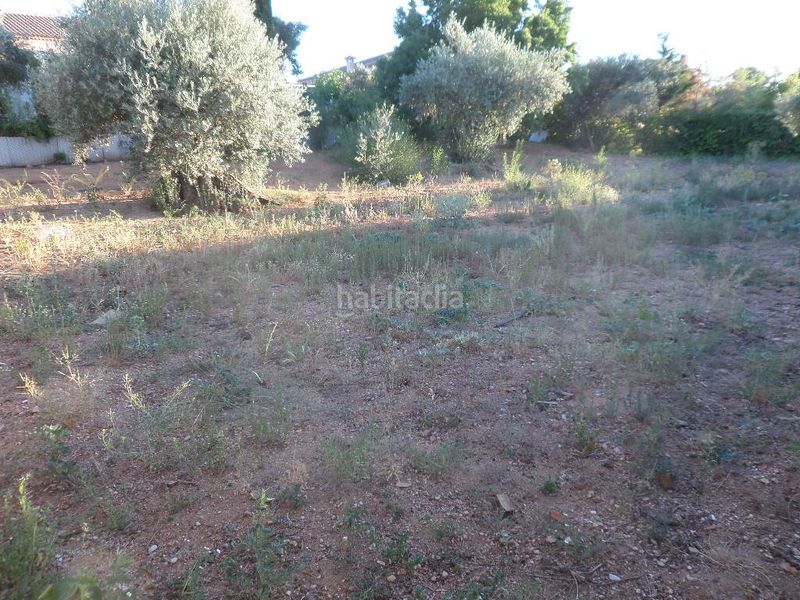 Foto 4061c9bc-c261-4c65-8517-bf2d0560ef48. Terreny residencial a Argés