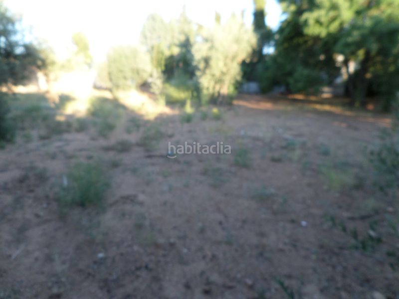 Foto a6e782be-5d5d-4f84-8d80-982b68f753ca. Terreny residencial a Argés