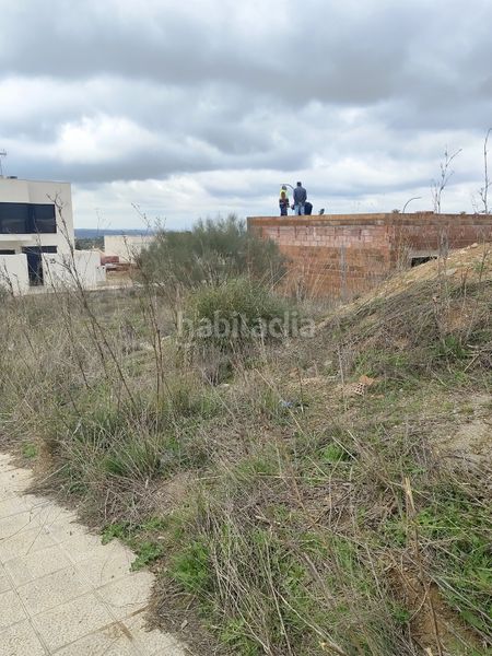 Foto c2cd3a89-1e9d-4324-9847-15bb626ea493. Terreno residencial parcela en urbanización aguardentero, c/ tomillo en Argés