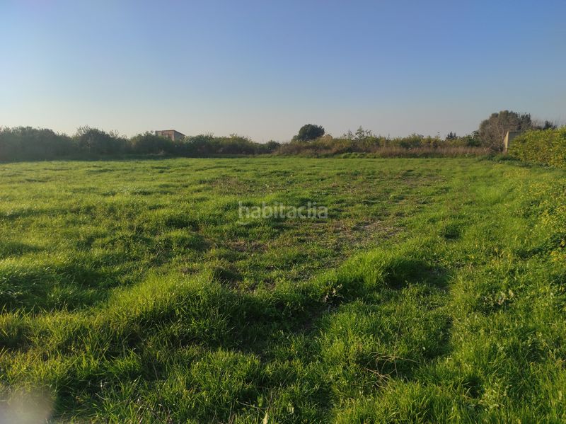 Foto a8e1fb7e-0258-4cd0-a56a-d0d2e9e2c8c8. Finca rústica a Torreagüera Murcia