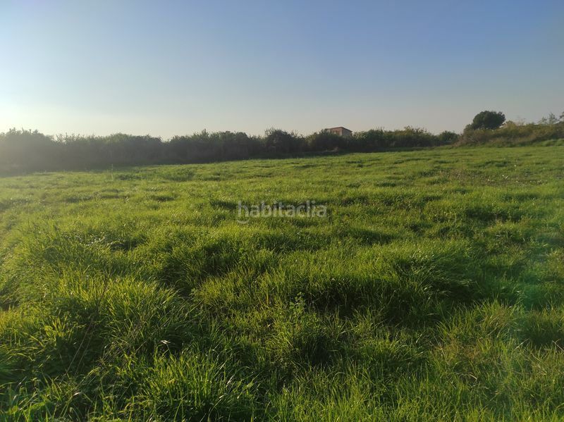 Foto fef792e7-2dbf-4815-8778-41e27eb2b4e5. Finca rústica a Torreagüera Murcia