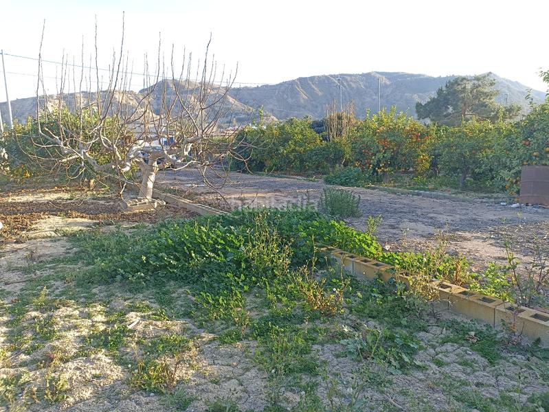 Foto 4106c190-9275-42bd-83d9-90a395344827. Finca rústica en vereda del chocolate 39 parcela rústica con almacén 72m² en Murcia