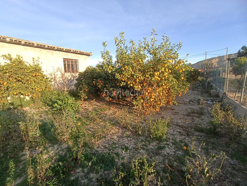 Foto 923c8620-6659-4d76-834f-862b2ce24366. Finca rústica en vereda del chocolate 39 parcela rústica con almacén 72m² en Murcia