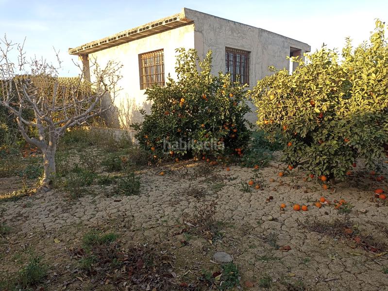 Foto a88ef0c0-f4d6-4162-b534-abf0ebeafb76. Finca rústica en vereda del chocolate 39 parcela rústica con almacén 72m² en Murcia