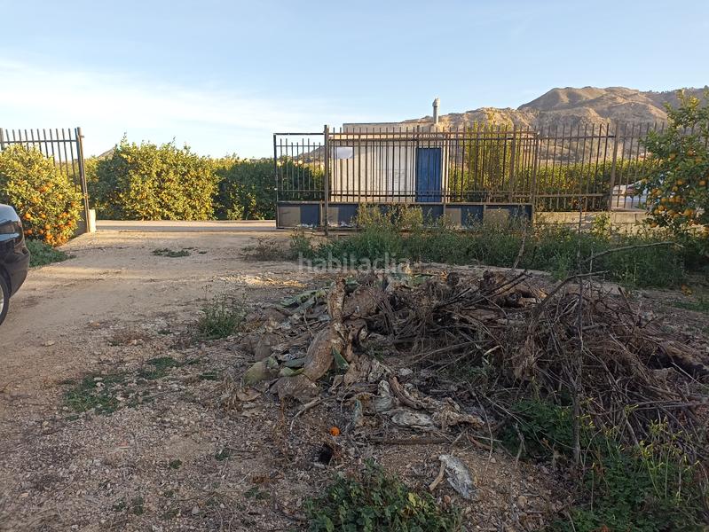 Foto e82faa4f-7bb5-48c4-80c0-c1874b97eb39. Finca rústica en vereda del chocolate 39 parcela rústica con almacén 72m² en Murcia