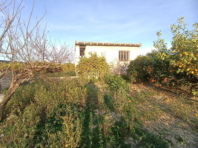 Foto f062f711-f789-4797-9561-4e6706e6d9af. Finca rústica en vereda del chocolate 39 parcela rústica con almacén 72m² en Murcia