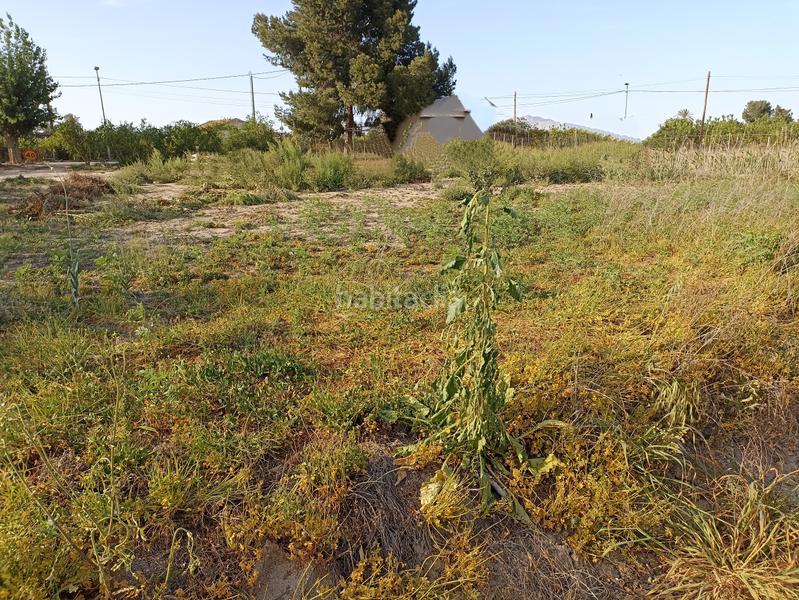 Foto 09f83c03-2bcb-4c17-af27-fd32a81a10db. Rural plot in diseminado camino viejo orihuela 54 in Murcia