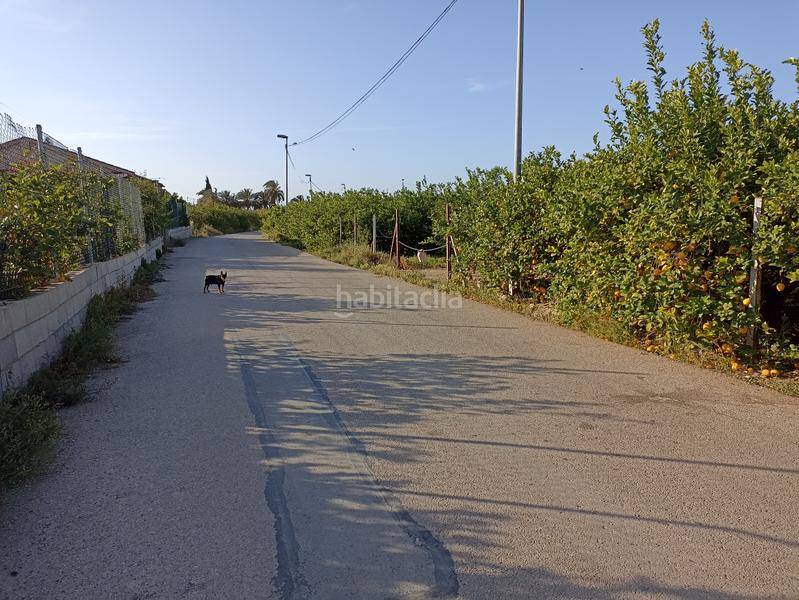 Foto 41d1133d-4548-4415-9782-80d15c27d1e7. Rural plot in diseminado camino viejo orihuela 54 in Murcia