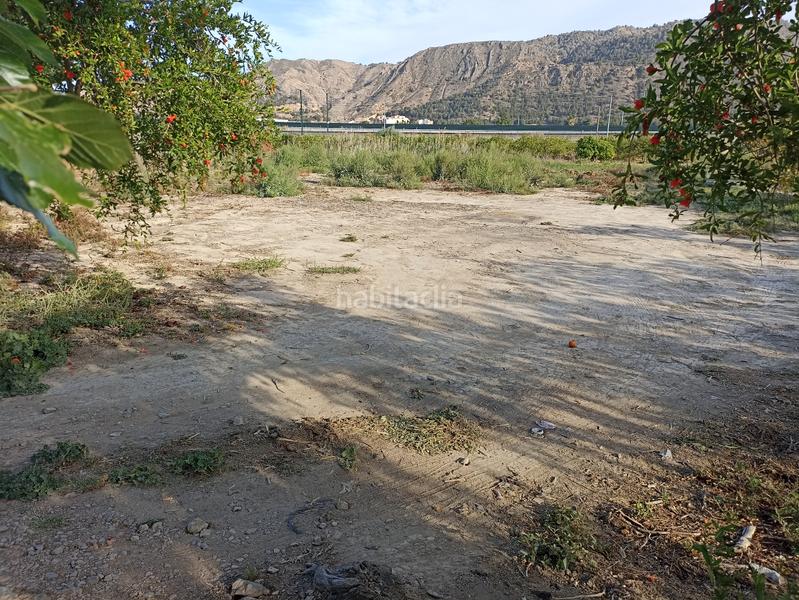 Foto 694a028a-d531-4ce2-801d-13b4646b5f83. Rural plot in diseminado camino viejo orihuela 54 in Murcia