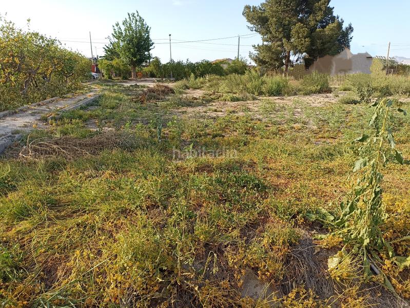 Foto 78b2f732-0da7-45a9-a872-4be71e71b9c3. Rural plot in diseminado camino viejo orihuela 54 in Murcia