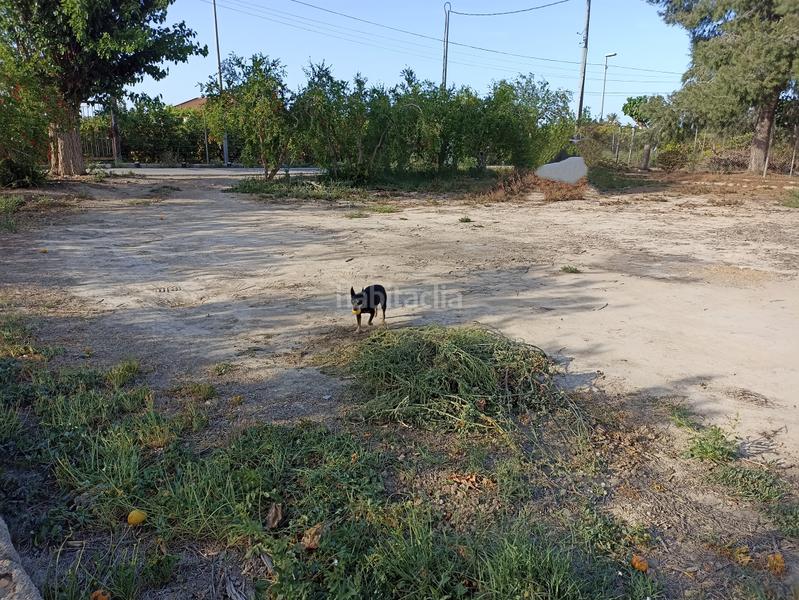 Foto e006211f-fe49-42f6-be29-6b850df835f2. Rural plot in diseminado camino viejo orihuela 54 in Murcia