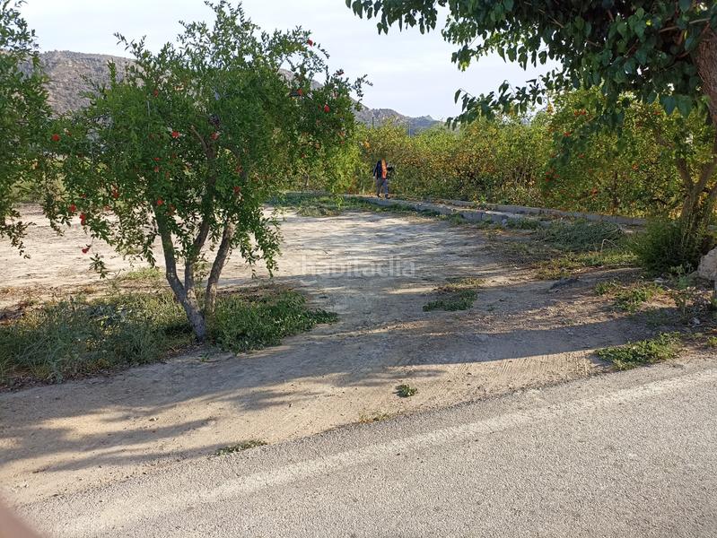 Foto eaf08c13-cc6b-49ce-88d4-2628732d8bb5. Rural plot in diseminado camino viejo orihuela 54 in Murcia