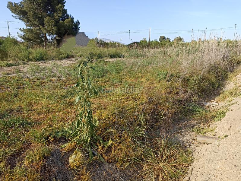 Foto f30e5e44-c84f-40a8-a7f8-b414d1ea8c75. Rural plot in diseminado camino viejo orihuela 54 in Murcia