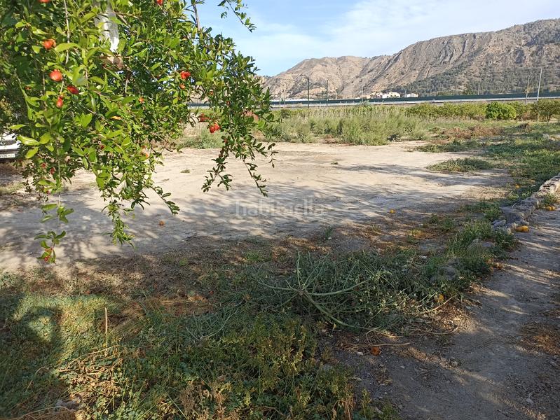 Foto f3a8ea34-666d-43e5-8dfd-4947e0a30a8f. Rural plot in diseminado camino viejo orihuela 54 in Murcia