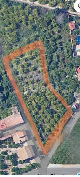 Foto 02ee2ffd-07c0-4b76-b38d-b3d4319b85fb. Fondo rustico in camino viejo de orihuela 7 in Torreagüera Murcia