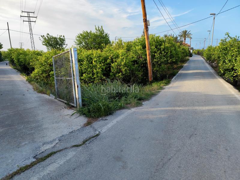 Foto 19792d14-71cf-49e8-9c1f-804817d5d212. Fondo rustico in camino viejo de orihuela 7 in Torreagüera Murcia