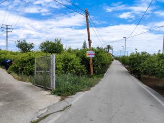 Rural plot in Camino viejo de orihuela 7. Ideal para recreo