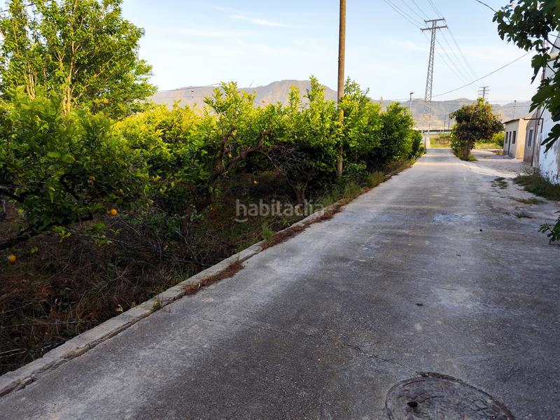 Foto a0ec4309-6c2d-4c4d-8dab-f40f67f21b6b. Fondo rustico in camino viejo de orihuela 7 in Torreagüera Murcia