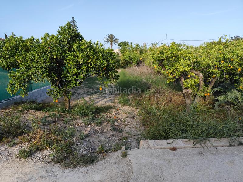 Foto cc35395e-0250-4143-a23c-7f6a468310b0. Fondo rustico in camino viejo de orihuela 7 in Torreagüera Murcia