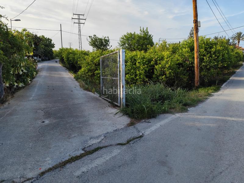 Foto e9d5e425-8c87-4ee1-af52-cb3781913b1a. Fondo rustico in camino viejo de orihuela 7 in Torreagüera Murcia