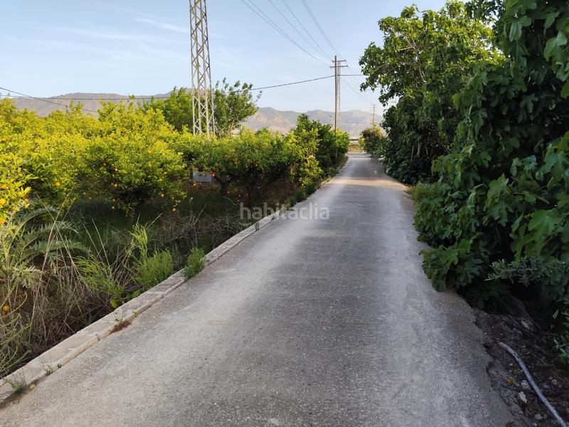 Foto fd488aad-b01b-4d70-94f9-632486554077. Fondo rustico in camino viejo de orihuela 7 in Torreagüera Murcia