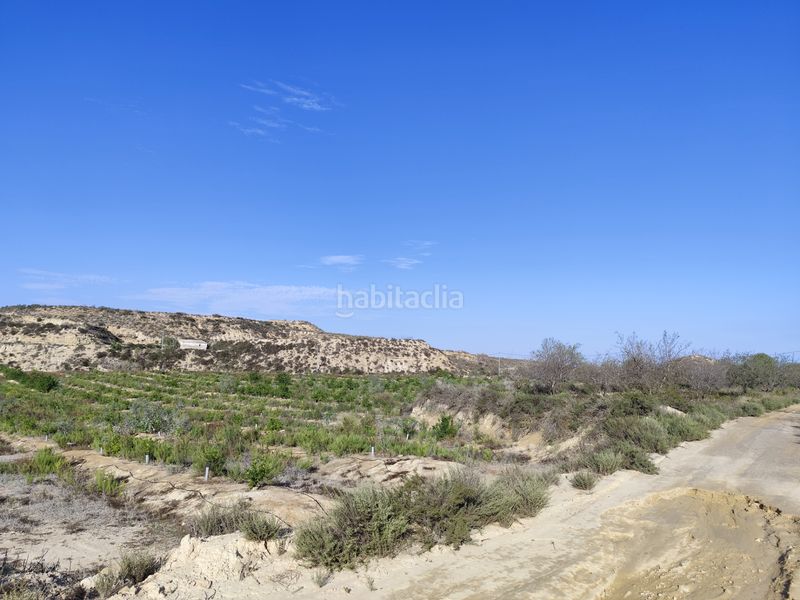 Foto 022024e4-0220-4152-8162-8eb0a9d9fb83. Finca rústica a n/a a Cañadas de San Pedro Murcia