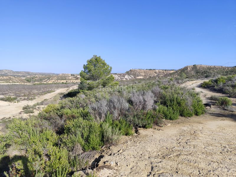 Foto bda4a370-3805-42d7-b136-395bbd1a21ac. Finca rústica a n/a a Cañadas de San Pedro Murcia