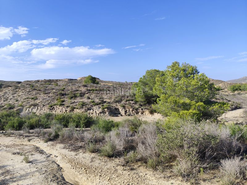 Foto c52bcbeb-f7cd-46b6-8c5d-0ccfadb55ab6. Finca rústica a n/a a Cañadas de San Pedro Murcia