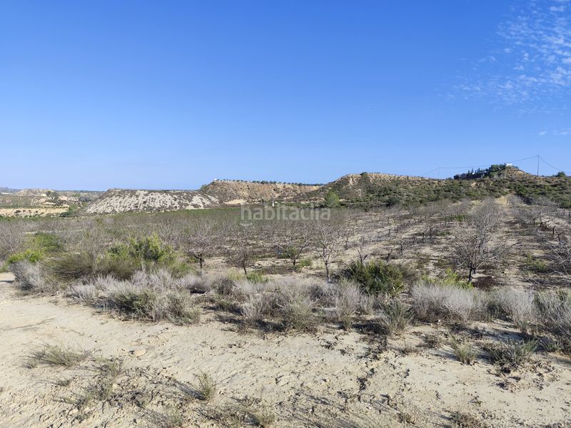 Foto d30f80b6-b7b4-45de-867b-47240a7c85de. Finca rústica a n/a a Cañadas de San Pedro Murcia