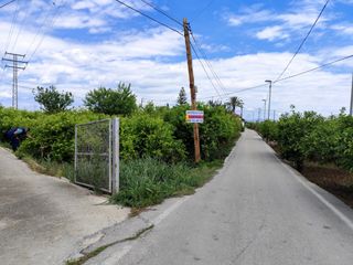Finca rústica a Camino Viejo de Orihuela 12