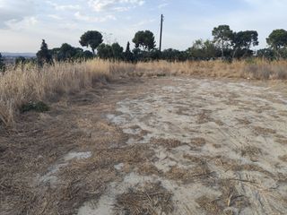 Fondo rustico in Diseminado Camino Marquez 1B