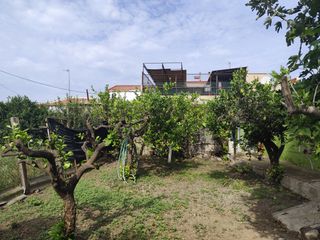 Maison à Avenida de murcia 158. Casa huerta con parcela