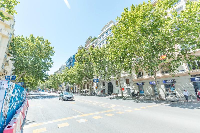 Foto f290501d-6976-4170-abcb-1bf7a1bdf870. Piso en calle alcalá 189 piso en venta en Goya, . en Madrid