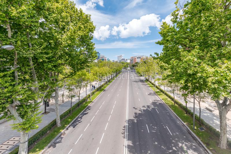 Foto 09e71f7b-15db-4d7e-ae44-30f0cd48cb2a. Piso  en venta reformado en Castellana, en Castellana Madrid