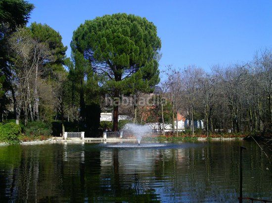 Foto 49d78254-6f99-4c11-b4e1-2b51a36d9463. Pis amb calefacció aparcament piscina a Salvador Madrid