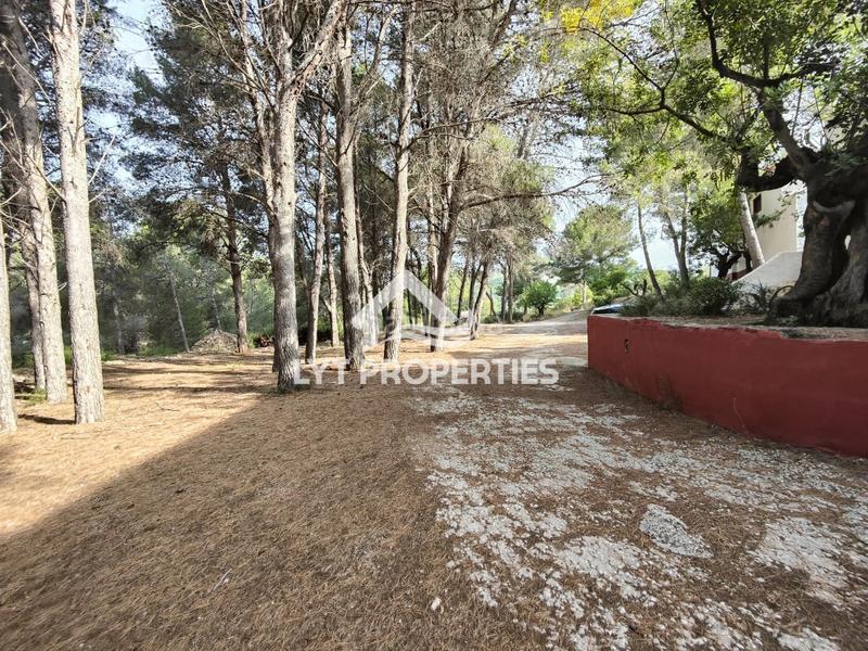 Foto c03a34fb-27d3-49f6-938a-f098744f39df. Bauernhof in Gata de Gorgos