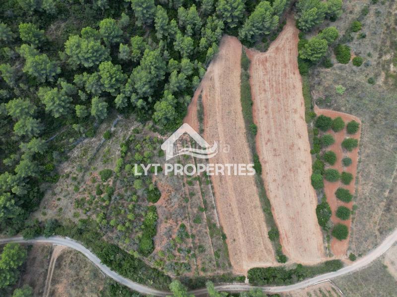 Foto 7eada544-3a5e-47de-bb9e-f9ad4ccad668. Finca rústica a Gata de Gorgos