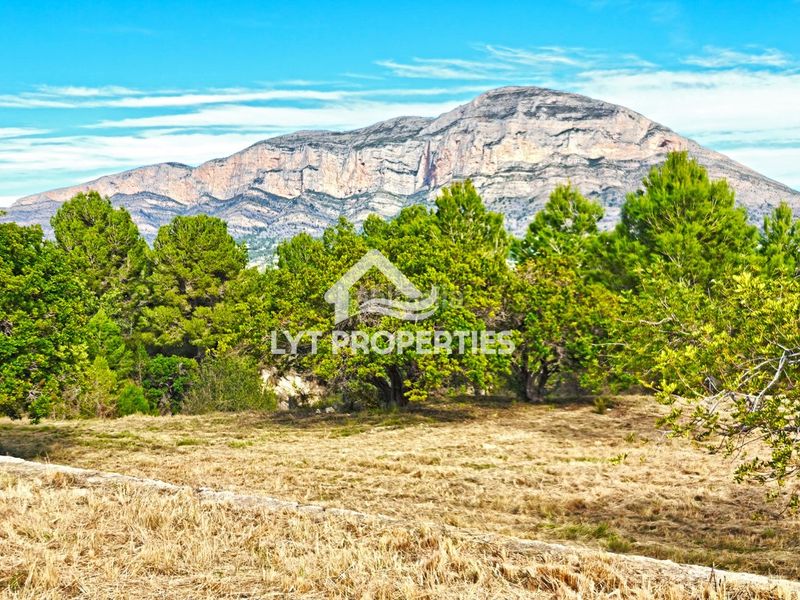 Foto 2ae3df67-980f-45e9-9799-888930defb9e. Finca rústica a Partida Comunes-Adsubia Xàbia