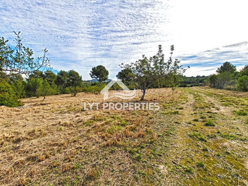 Foto 355ab272-0faf-4173-b116-4a34a3510233. Finca rústica a Partida Comunes-Adsubia Xàbia