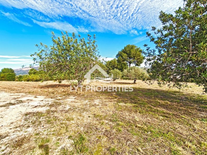 Foto 3d0af37c-b38d-49e7-91b3-8bd639dd564c. Finca rústica a Partida Comunes-Adsubia Xàbia