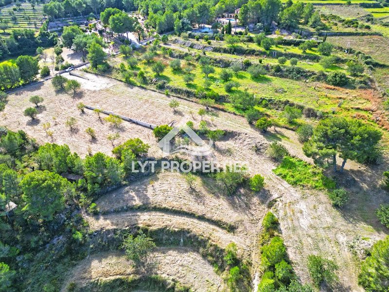 Foto 480392ab-3e68-49e1-8487-4b85046bdbef. Finca rústica a Partida Comunes-Adsubia Xàbia