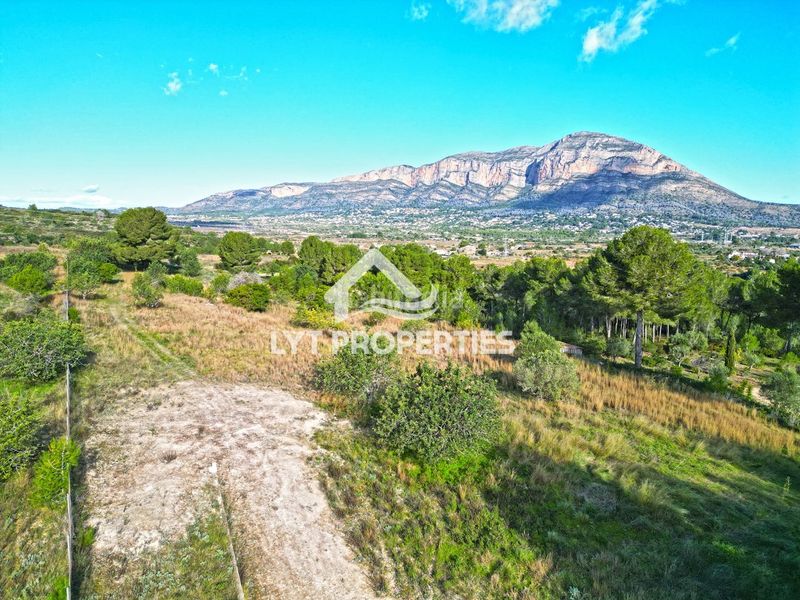 Foto 54d0f7f1-3d80-4577-b41c-c8ef5c7fdf8c. Finca rústica a Partida Comunes-Adsubia Xàbia